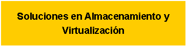Cuadro de texto: Soluciones en Almacenamiento y Virtualización